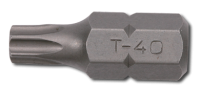 10mm TX Biteinsatz, 30mm, T25