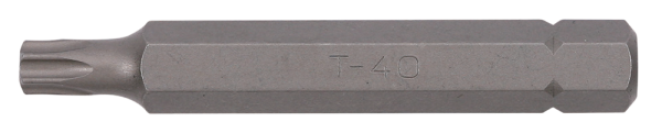 10mm TX Biteinsatz, 75mm, T40