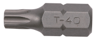 10mm TX Biteinsatz, 30mm, T40